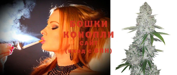 метадон Белокуриха