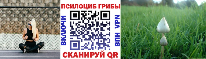 Галлюциногенные грибы Magic Shrooms  наркота  darknet как зайти  Менделеевск 